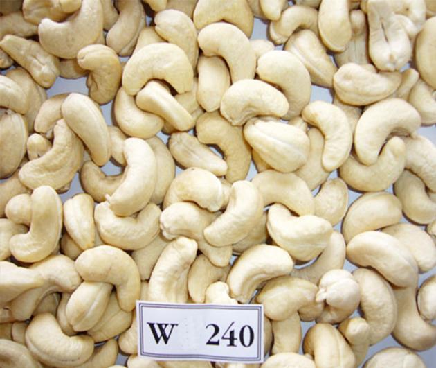 Cashew kernel WW240