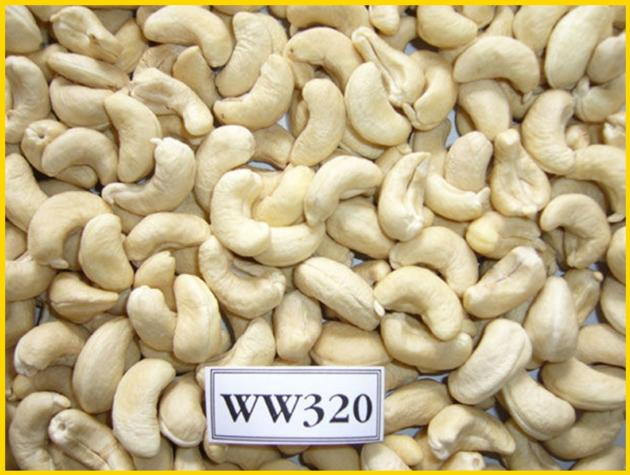 Cashew kernel WW320