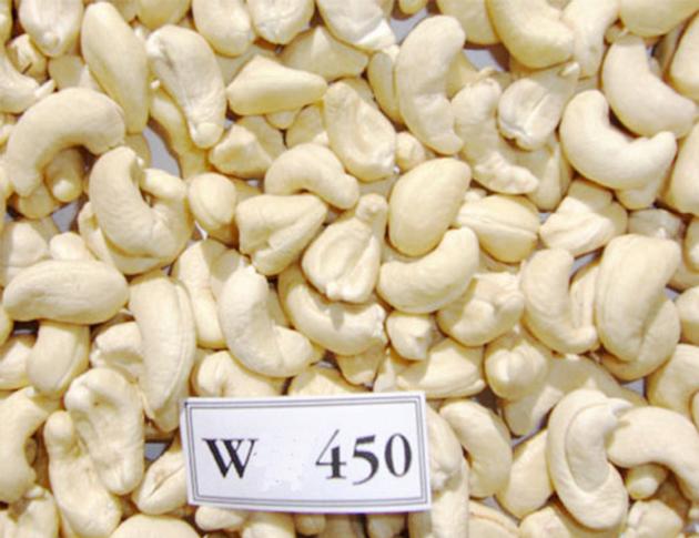 Cashew kernel WW450