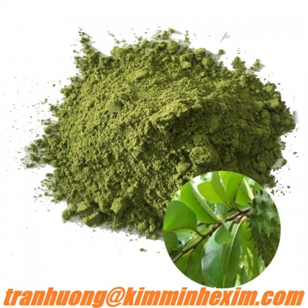 DRIED SOURSOP LEAVES EXTRACT/ SOURSOP LEAF POWDER