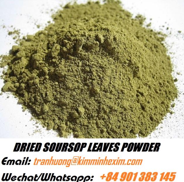 DRIED SOURSOP LEAVES EXTRACT SOURSOP LEAF