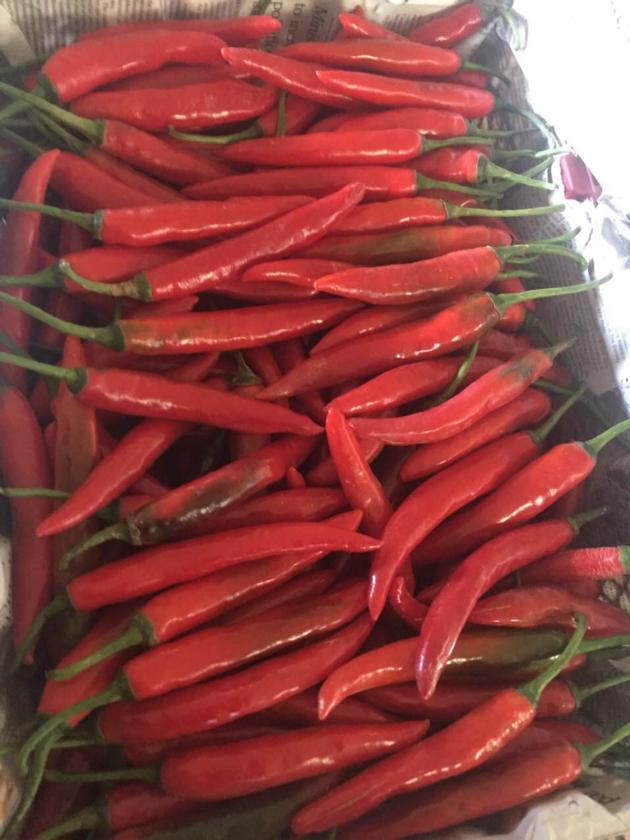 Fresh Red Hot Chili