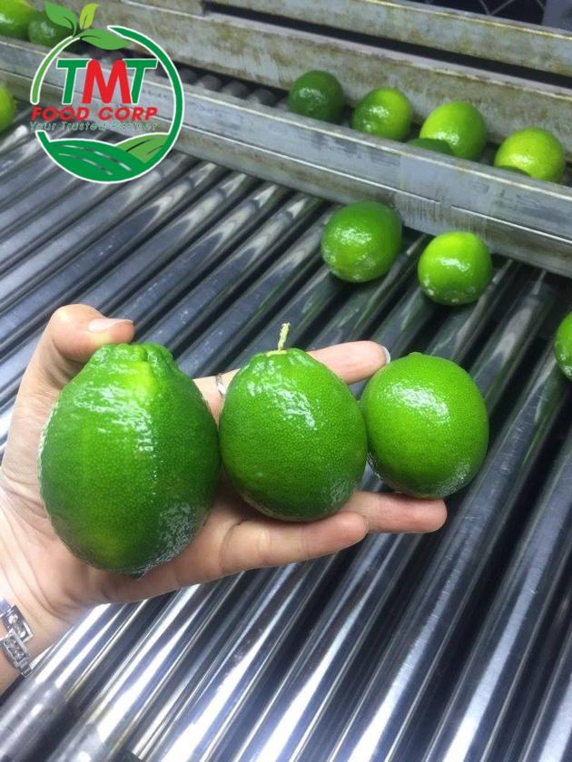 Vietnamese fresh seedless lime