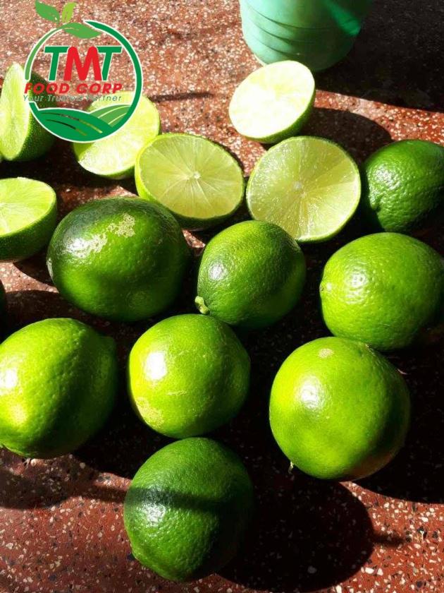 Vietnamese Fresh Seedless Lime