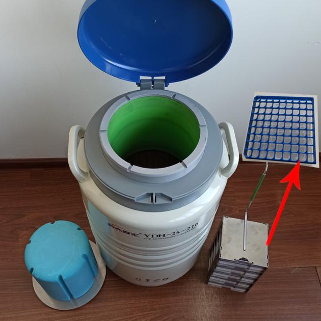 Vacuum Flask Ln2 Cryoshipper Dry Vapor