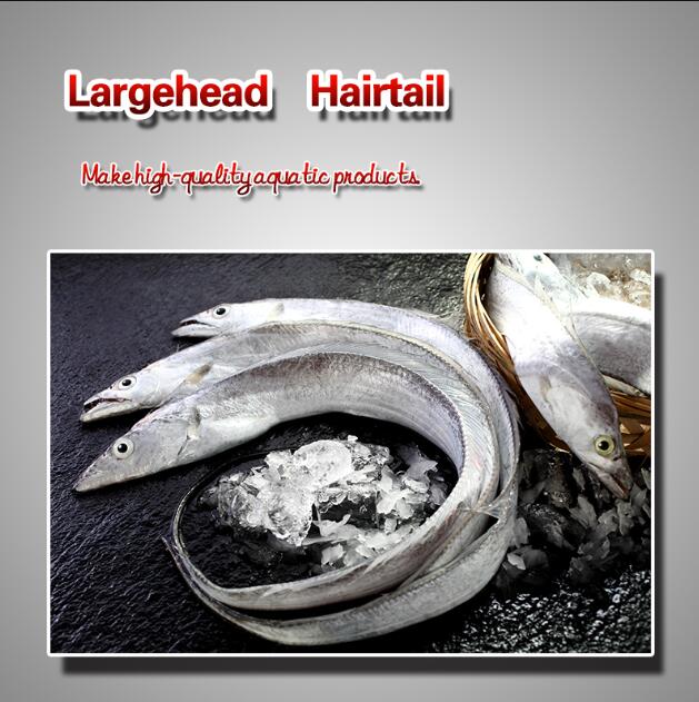 Largehead　Hairtail