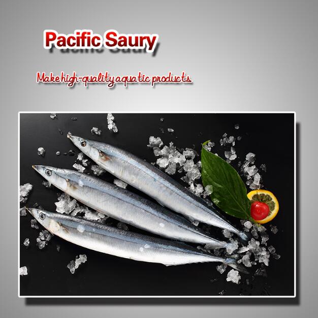 Pacific Saury
