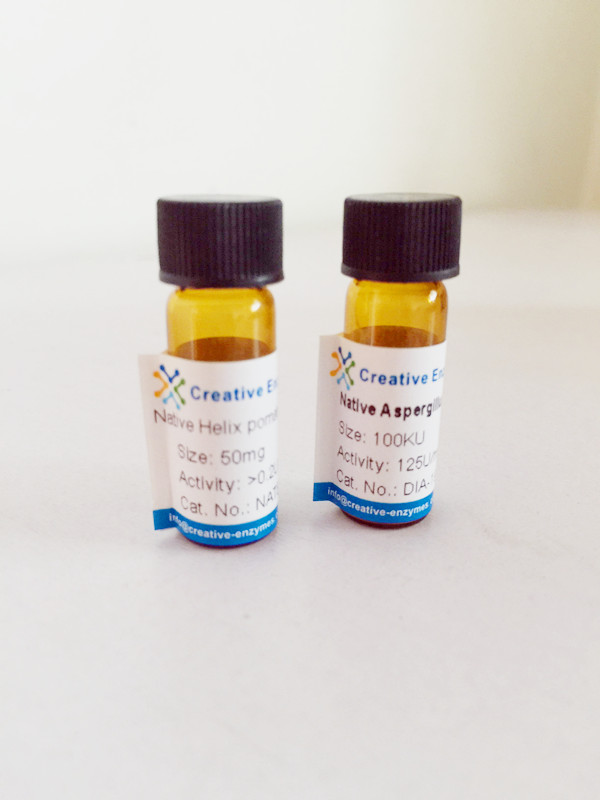 Thioredoxin Reductase (NADPH) from Yeast, Recombinant