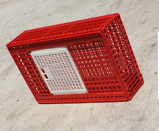 Poultry Transportation Crates