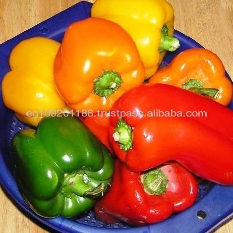 color pepper