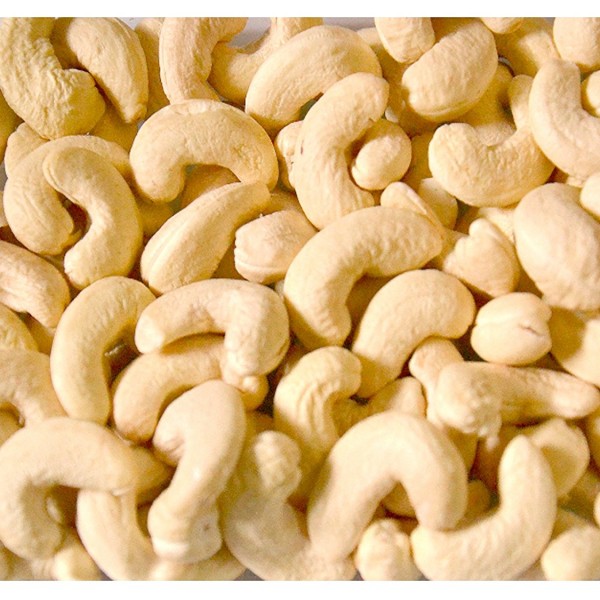 Cashew nuts kennels