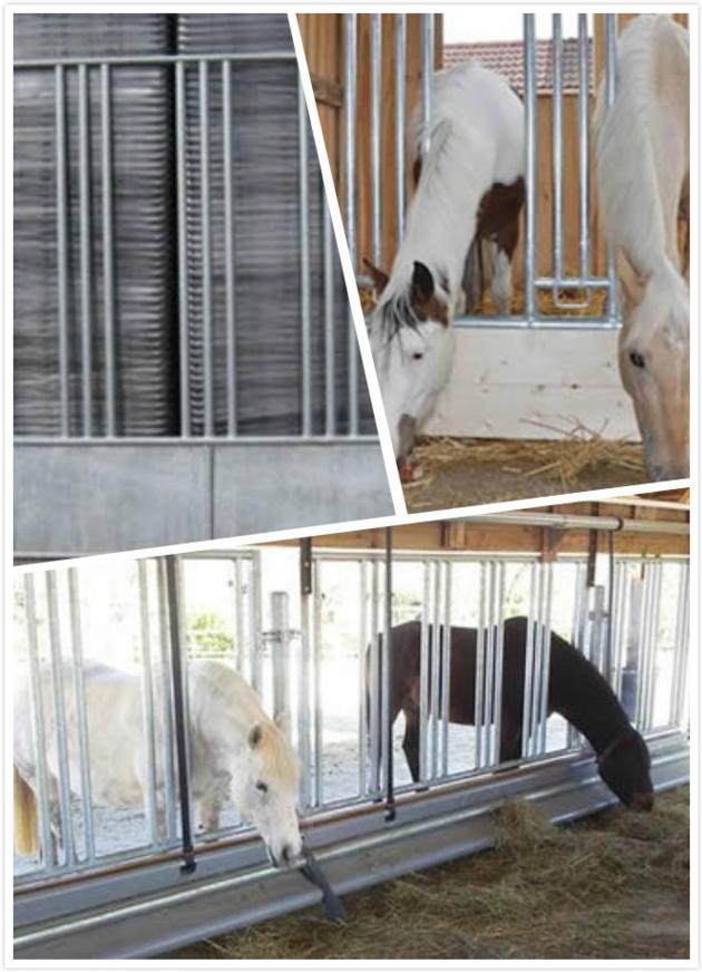 Horse Panel Feeding Rack