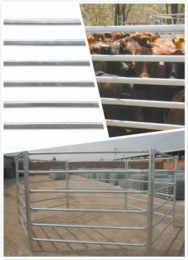 Cattle Corral Fence