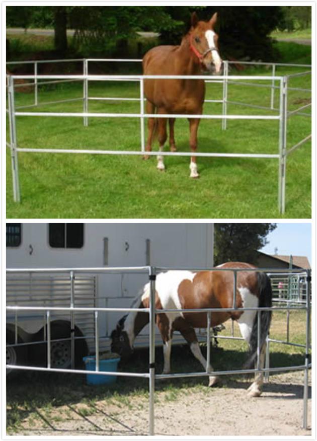 Portable Horse Panels
