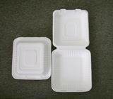 bagasse single compt. clamshell