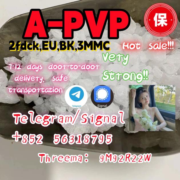APVP Apvp Apvp Hot Sale 99