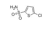  5-Chlorothiophene-2-Sulfonaminde
