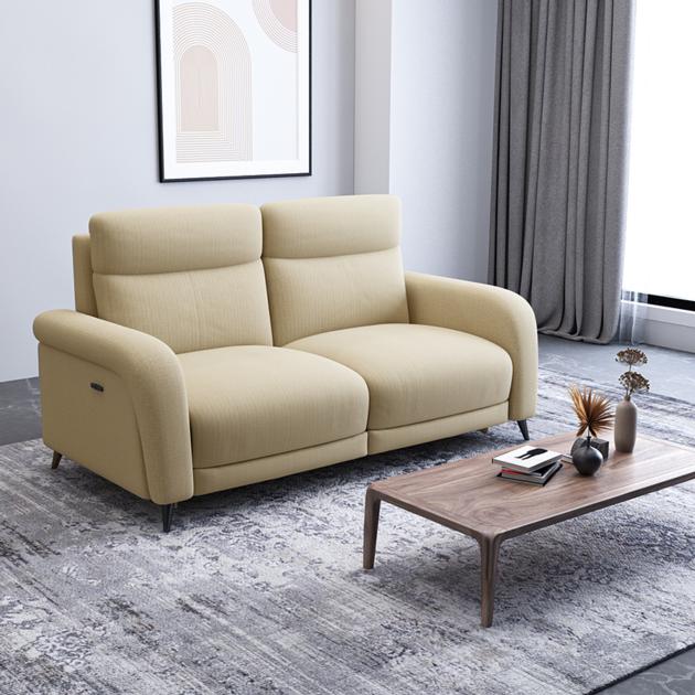 Modern Style Sofa Living Room Home