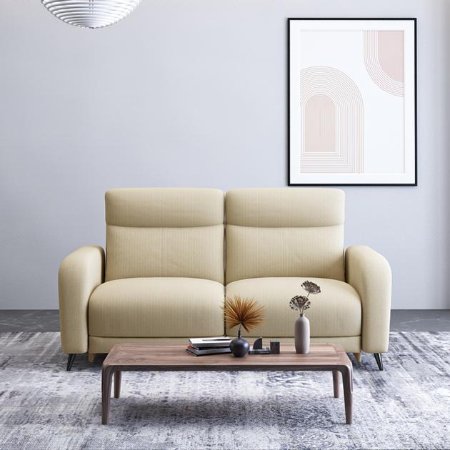 Modern Style Sofa Living Room Home
