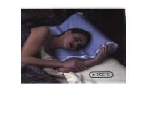 Modern Health, 3 Zone Cervical Comfort Pillow #D/8001