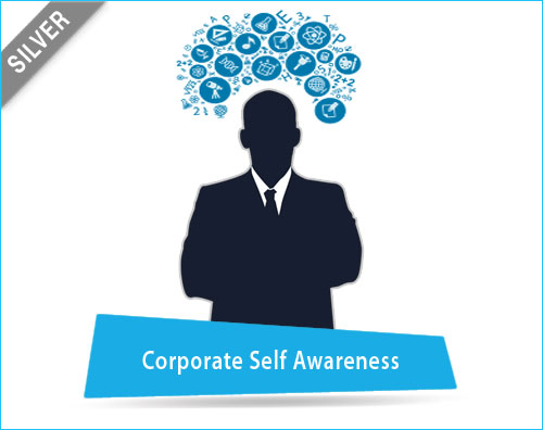 Corporate Self Awareness – Silver