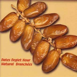   Fresh deglet nour dates of Tunisia