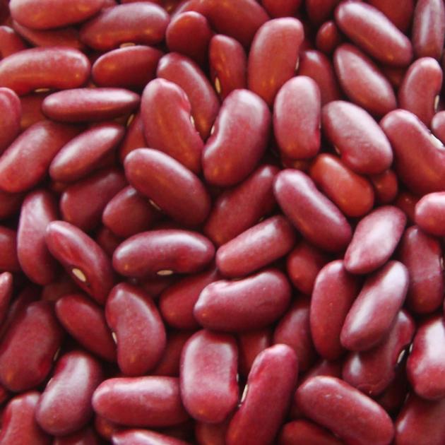 best quality grade kidney beans