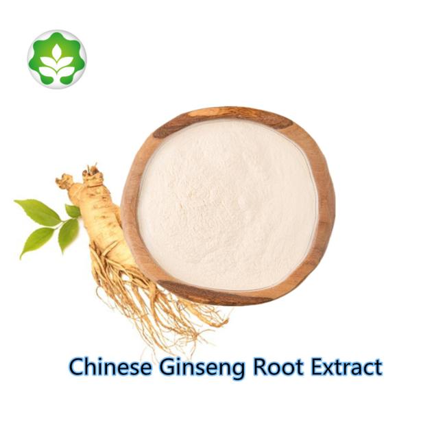 best price low pesticide chinese ginseng root extract