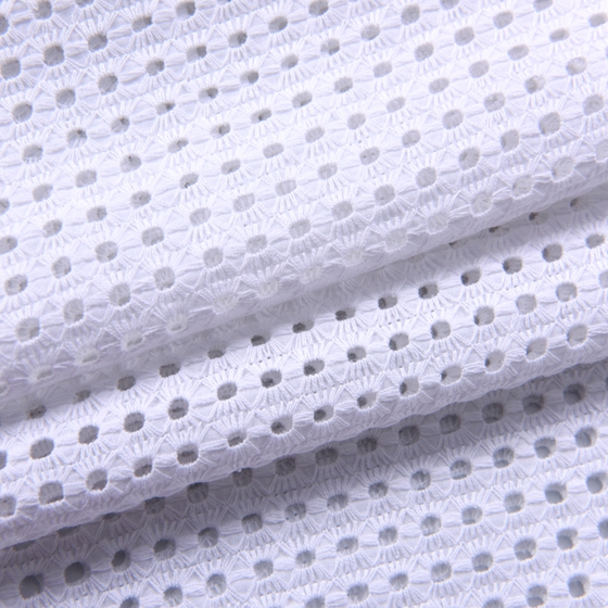 latest swiss voile white cotton lace fabric embroidered