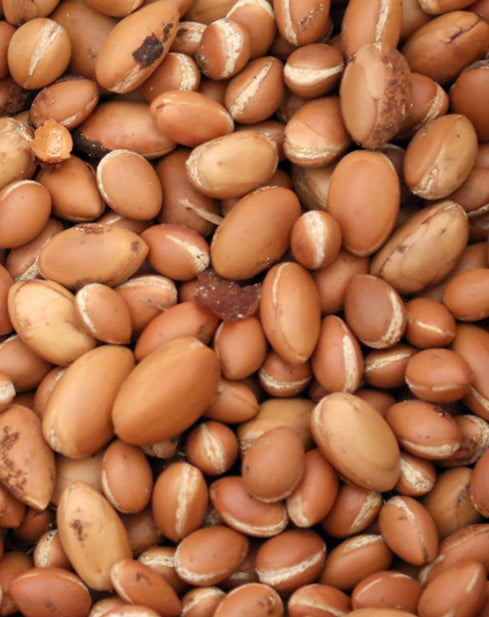 Argan Essential Oil