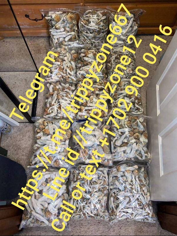 BUY MUSHROOM ONLINE