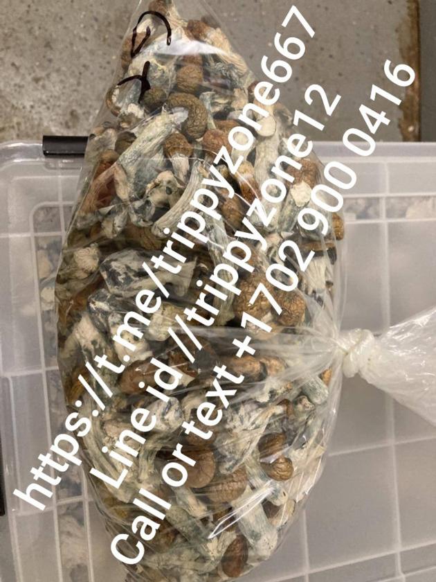 BUY MUSHROOM ONLINE