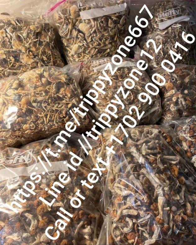BUY MUSHROOM ONLINE