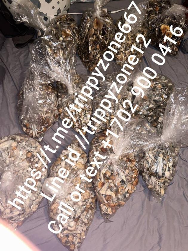 BUY MUSHROOM ONLINE