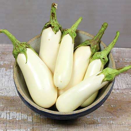 Fresh Eggplant Aubergine Vegetables