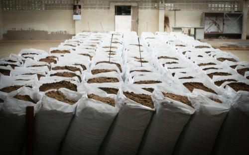 Fish Meal Good Quality