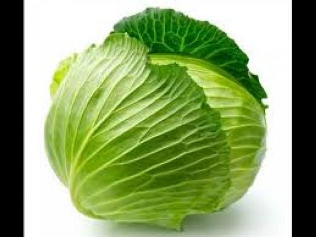 Fresh cabbage vegetables