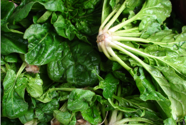 Fresh Spinach Vegetables