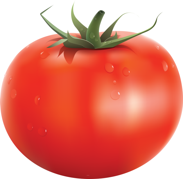 Tomato vegetables