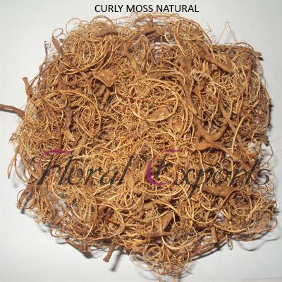 Dried Grass Amp Fillers