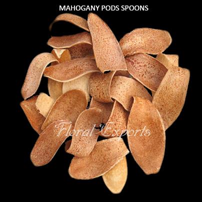 Potpourri