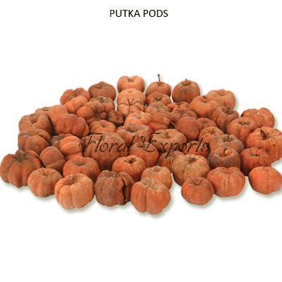 Potpourri