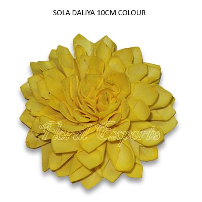 Sola Flowers Shola Wood Flowers