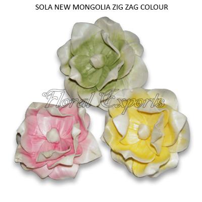 Sola Flowers Shola Wood Flowers