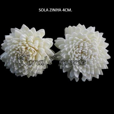Sola Flowers / Shola Wood Flowers