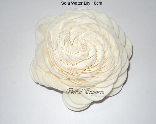 Sola Flowers Shola Wood Flowers