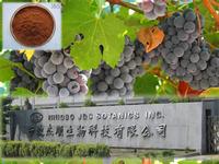grape seed extract