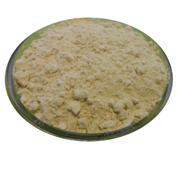 Vital Wheat Gluten From Tianjin Huge