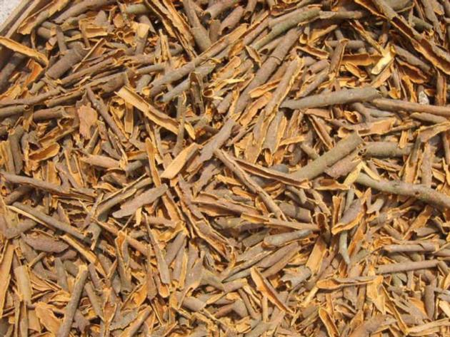 Broker Cassia Cinnamon From Vietnam