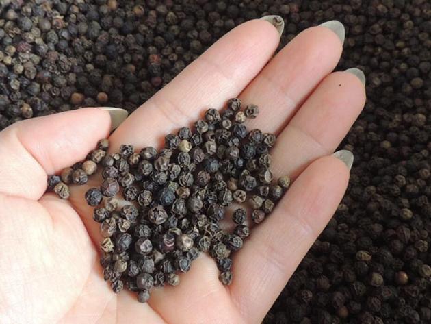 Vietnam Black Pepper Amp White Pepper